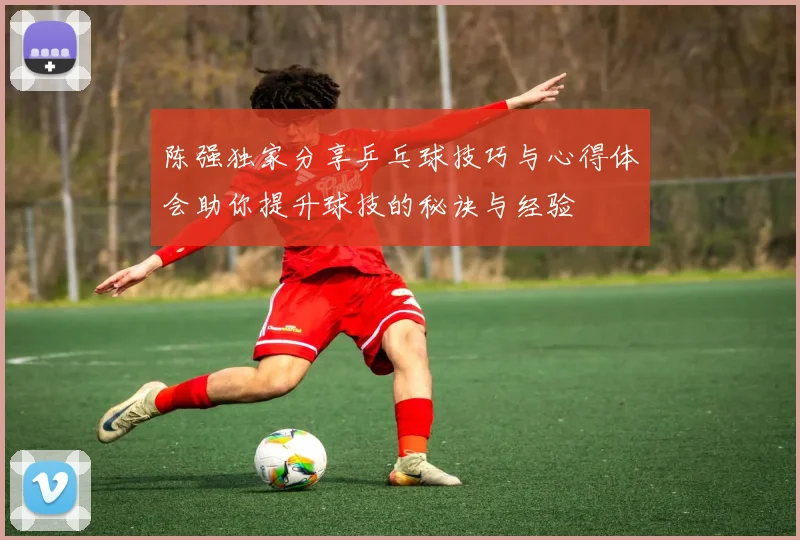陈强独家分享乒乓球技巧与心得体会助你提升球技的秘诀与经验