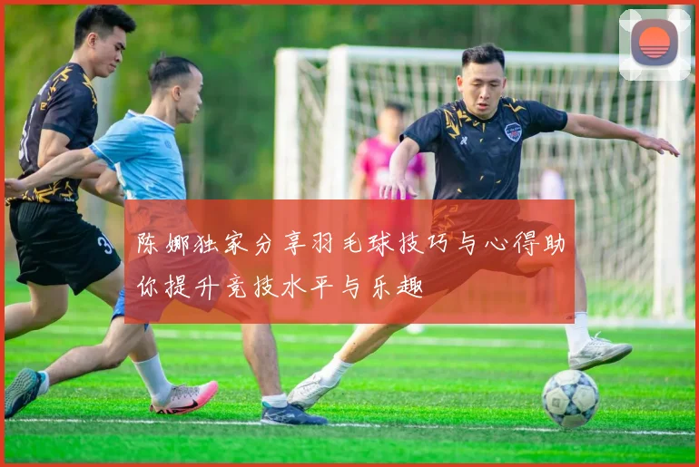 陈娜独家分享羽毛球技巧与心得助你提升竞技水平与乐趣